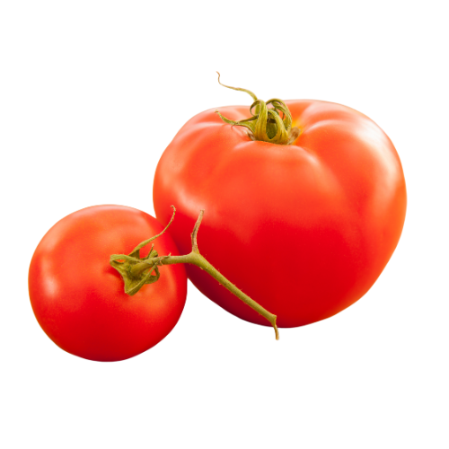 Frank's Organic Farm Tasti-Lee Tomatoes