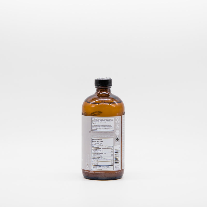 Booch Ginger Kombucha