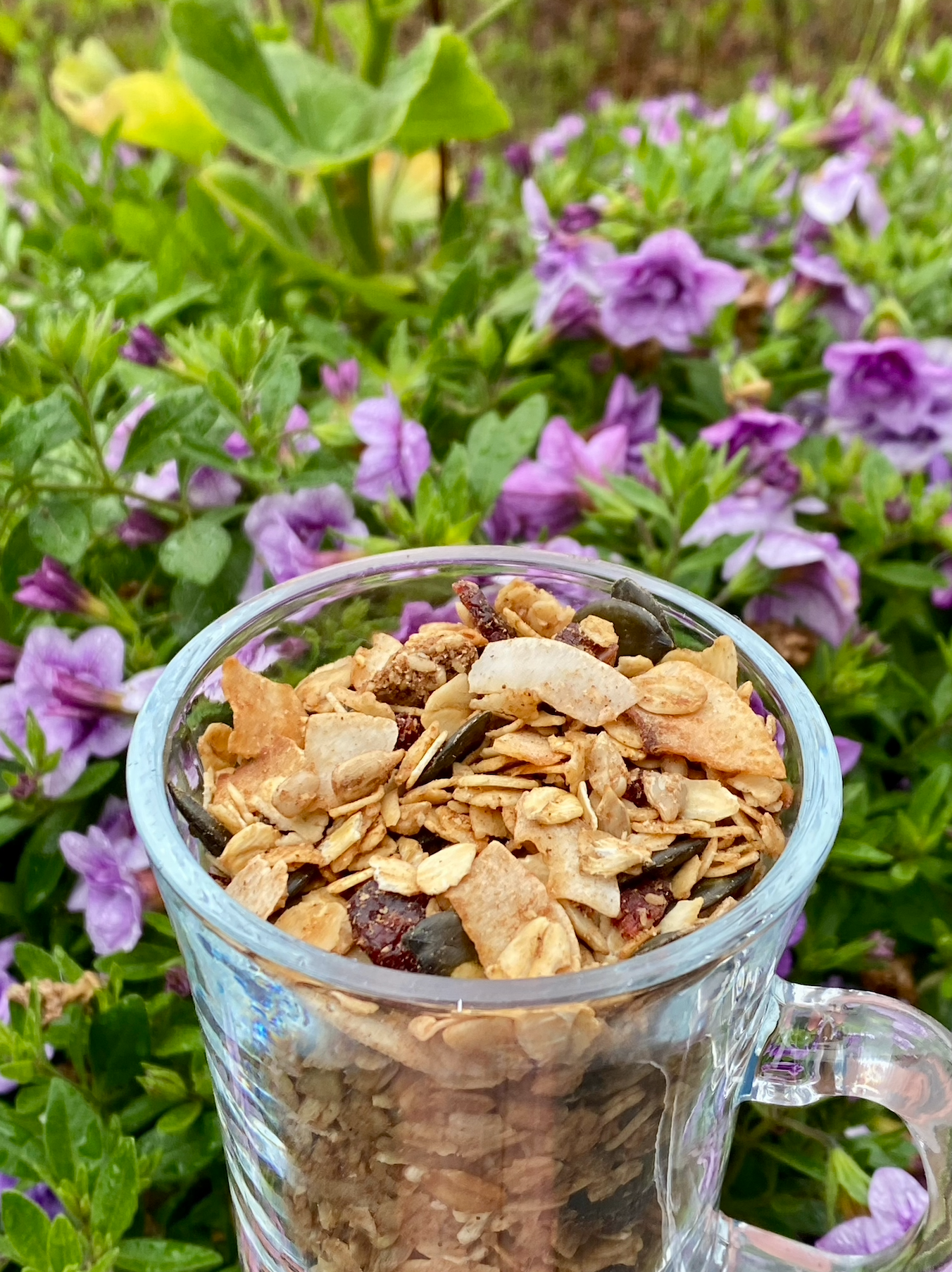 Frank's Organic Granola 350g