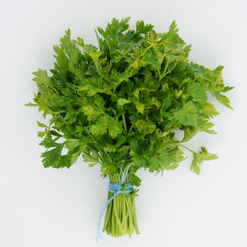 Organic Fresh Parsley