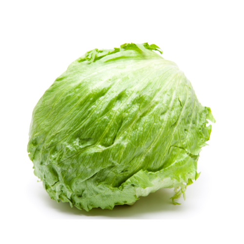 Organic Iceberg Lettuce