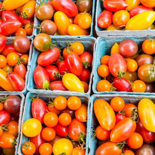 Frank's Organic Farm Cherry Tomatoes (Basket)