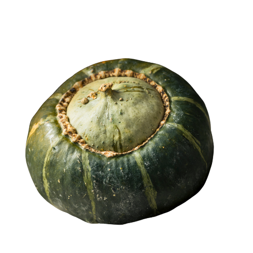 Organic Buttercup Squash