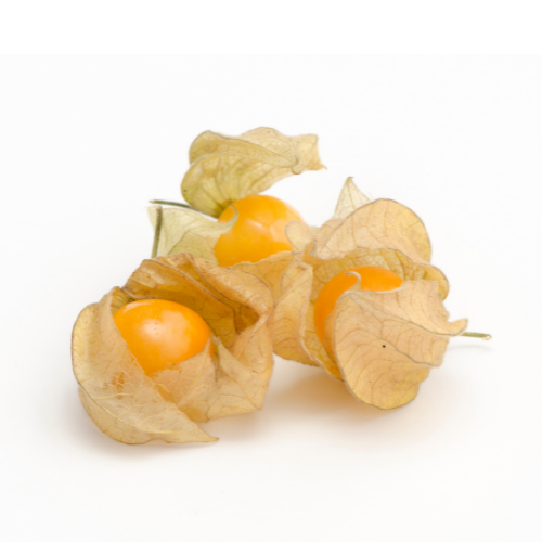 Organic Ground Cherries 170g